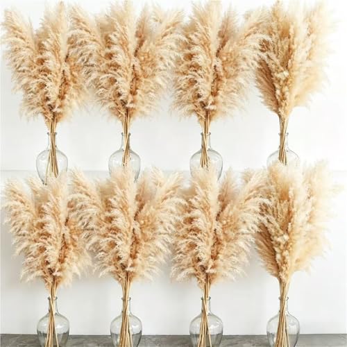 Ramo de pasto pampas natural de 20 tallos 39.37 pulg miniatura 1