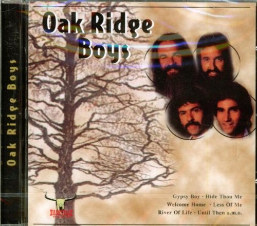 Gypsy boy [Audio CD]