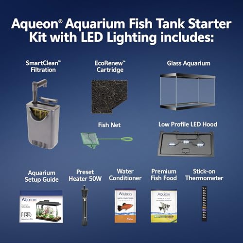 Aqueon Aquarium Starter Kit with Smart Clean Filtration and LED Lighting, Freshwater and Saltwater Fish, Perfect for Tetras, Guppies, Platies, 10-Gallon - Image 4
