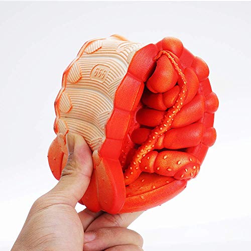 NA unisex-adult Slipper4