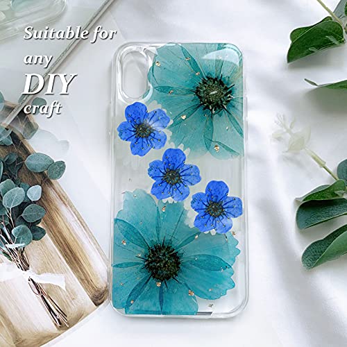 Flores Secas Prensadas Azul Natural 60Pzs miniatura 4