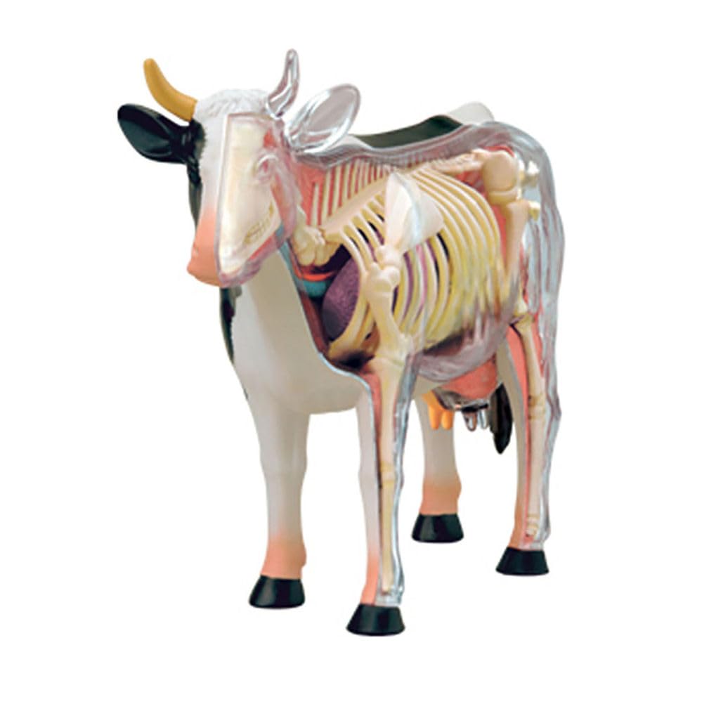 Genérico Modelo de Anatomía de Vaca 4D - Esqueleto de Animal, Biología Desmontable, 29 Partes para Clínica Veterinaria, Capacitación, Escuela de Enseñanza, Demostración