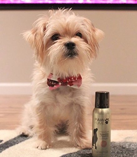 Pawfume Premium Grooming Spray (Show Dog)