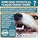 Petastical Plaque Vanish | 100% natürliches Algen-Zahnpulver | Plaque Off Zahnsteinentferner für Hunde & Katzen | Verbannen Sie schlechten Atem | Hergestellt in Großbritannien (180g)