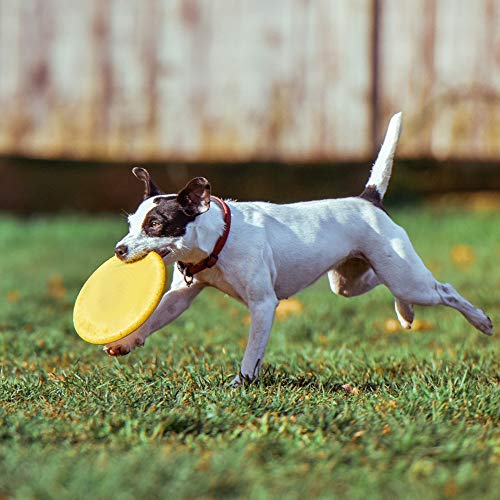 Originalidad Frisbee Kids Flying Disc Toy - Silicone Flying Disc Toy for School Sports Party Favors Outdoor Game Colorful 6 Pack Bulk Set - Thumbnail 5