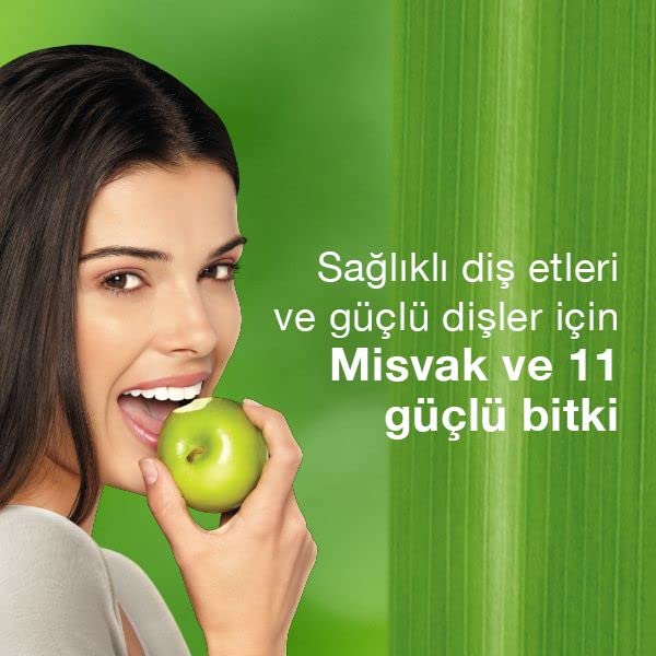 Himalaya Since 1930 Komple Bakım Bitkisel Diş Macunu, Florürlü, Parabensiz, Vejeteryan, Güçlü Dişler, 75 ml
