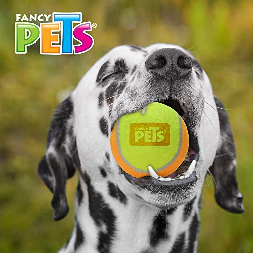 Reviews y listado de Fancy pets mexico tabla con los diez mejores. 6 Imagen adicional