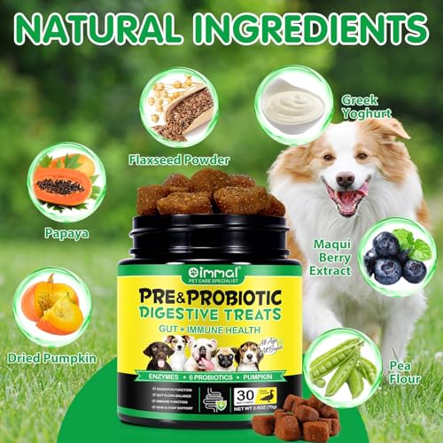 Probiotika Darmsanierung für den Hund - Erbesserte Verdauung & Immunsystem, Fördert die Gesundheit der Haut und Saisonale Allergien Unterstützen, Gut für Die Immunität, Entengeschmack