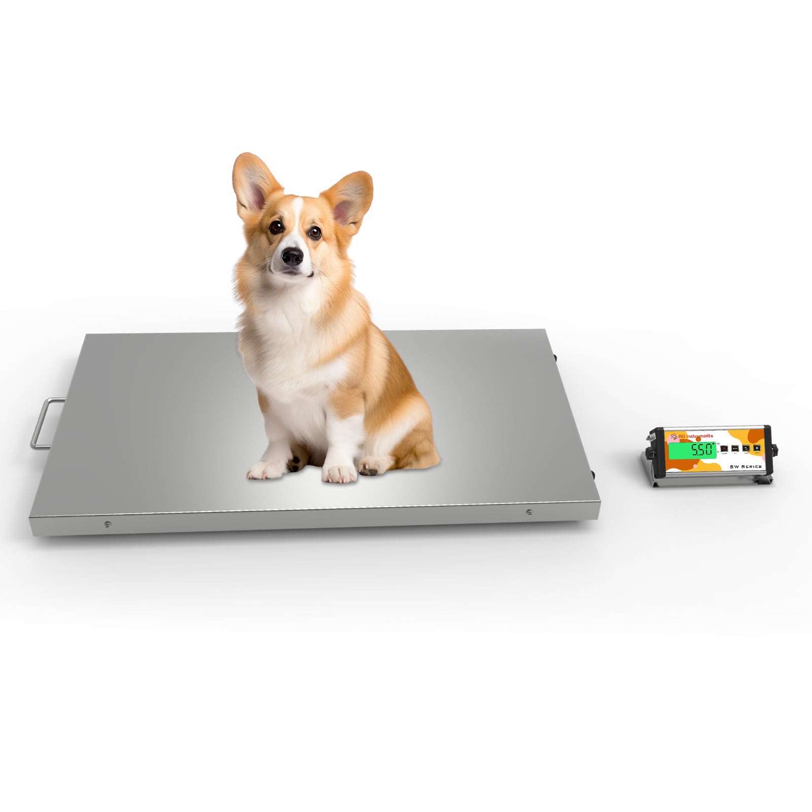 Wireless Pet Scale for Large Dogs 660lb x 3 2oz 37 x 20 inch Stainless Steel Platform Veterinary