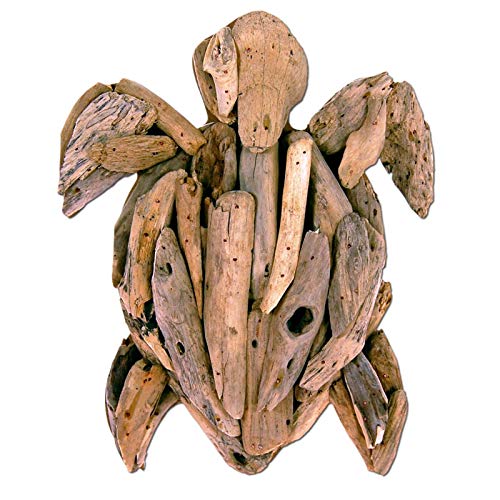 SEESTERN FBA_1324 Décoration murale en bois flotté Motif tortue 30 cm