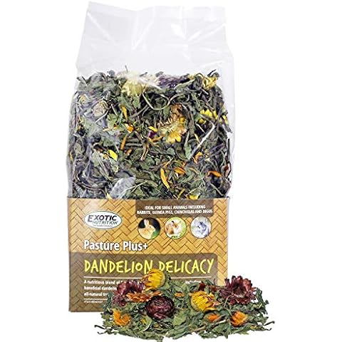 Pasture Plus+ Dandelion Delicacy - Healthy Natural High-Fiber Dried Flower Treat - Squirrels, Guinea Pigs, Rabbits, Chinchillas, Prairie Dogs, Degus, Hamsters, Gerbils & Other Small Pets Cover