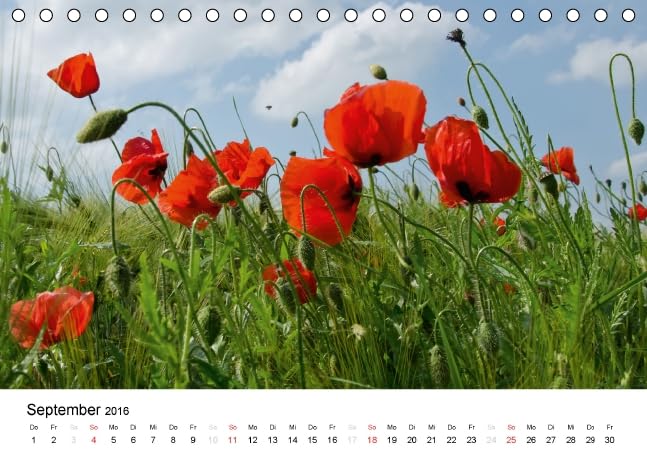 MohnZeit (Tischkalender 2016 DIN A5 quer): Landschaften voller Mohnblüten (Monatskalender, 14 Seiten ) (CALVENDO Natur)