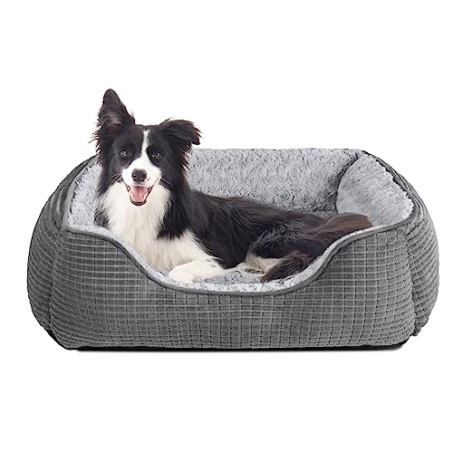JOEJOY Panier Chien, Lit pour Chien Moyen Taille, Panier pour Chien Lavable, Bords Rehaussés, Duveteux & Confortable, Coussin pour Chien Antidérapant, Gris M...