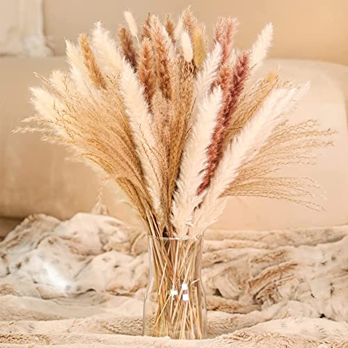 Lot de 85 Herbes de La Pampa Séchées Naturelle Décoration, Bouquet de Pampa Fleurs Compositions Séchée Blanche Beige, Tiges de Pampas Plumes Plantes pour Déco Intérieur, Chambre, Boho Mariage Cover