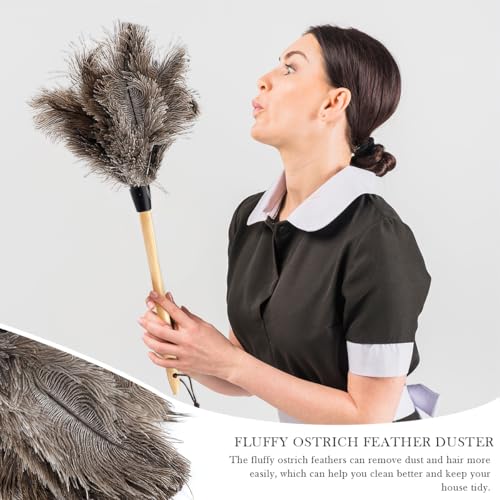 Image of Ostrich Duster, 22 inch Ostrich Duster Soft Handmade Washable, Ostrich Duster with 13 inch Wooden Handle for Cleaning