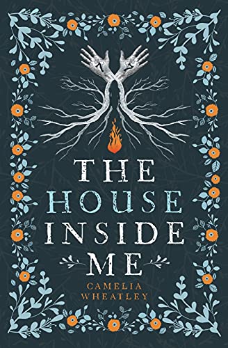 The House Inside Me view 2