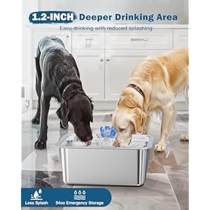 Large Dog Water Fountain Stainless Steel3 Gallon Extra Large Big Pet Water Fountain for Large Dogs with 4 Filtersautomatic Dog Water Bowl Dispenser Drinking Fountainseasy to Cleanquiet Pump  Cucciolini Doodles Large dog water fountain stainless steel3 gallon extra large big pet water fountain for large dogs with 4 filtersautomatic dog water bowl dispenser drinking fountainseasy to cleanquiet pump   cucciolini doodles