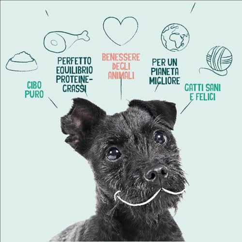 YARRAH Vega Vegetarisches Bio-Trockenfutter für Hunde – für alle Rassen und Altersgruppen | Exquisite Biologische Hundebrocken, 10kg | 100% biologisch & frei von künstlichen Zusätzen