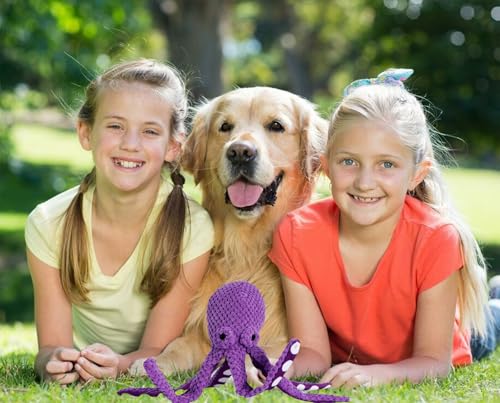 Juguetes sonoros para perro paquete x2 miniatura 2