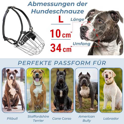 CleverTail Metall-Maulkorb für Pitbull – Körbchen-Maulkorb mit verstellbaren Lederriemen – Stahl-Käfig-Maulkorb zum Verhindern von Beißen – Mundschutz für große und mittelgroße Pitbulls und Bully