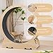 EXQ Home Cat Exercise Wheel for Indoor Cats, Diameter 39.4