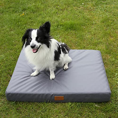 your GEAR Biella Orthopädisches Hundebett 80x60x10 cm – bequemes Hundesofa waschbar & wasserabweisend – Visco Memory Foam Hundematte – Gelenkschonendes Hundekissen für kleine Hunde