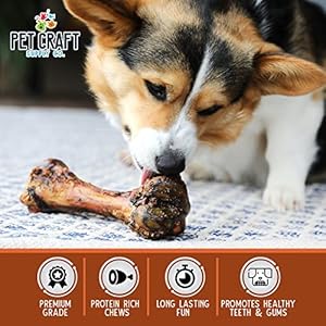   Pet-Craft-Supply-ALL-Natural-Healthy-Pork-Femur-Bones-Dog-Chews-Treats-for-Medium-Tough-Chewers-Long-Lasting-Rawhide-Free-Made-in-USA-Premium-Grade-Slow-Roasted-High-Protein-Best-for-Medium-Sized-Dogs