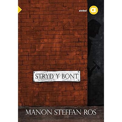 Cyfres Amdani: Stryd y Bont