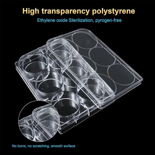 Boîtes de Pétri expérimentales transparentes lot de 5 de qualité supérieure