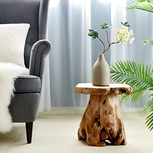 WELLAND Tree Stump Stool Live Edge, Natural Edge Side Table, Plant Stand, Nightstand, Mushroom Stool 14" Tall - Image 3