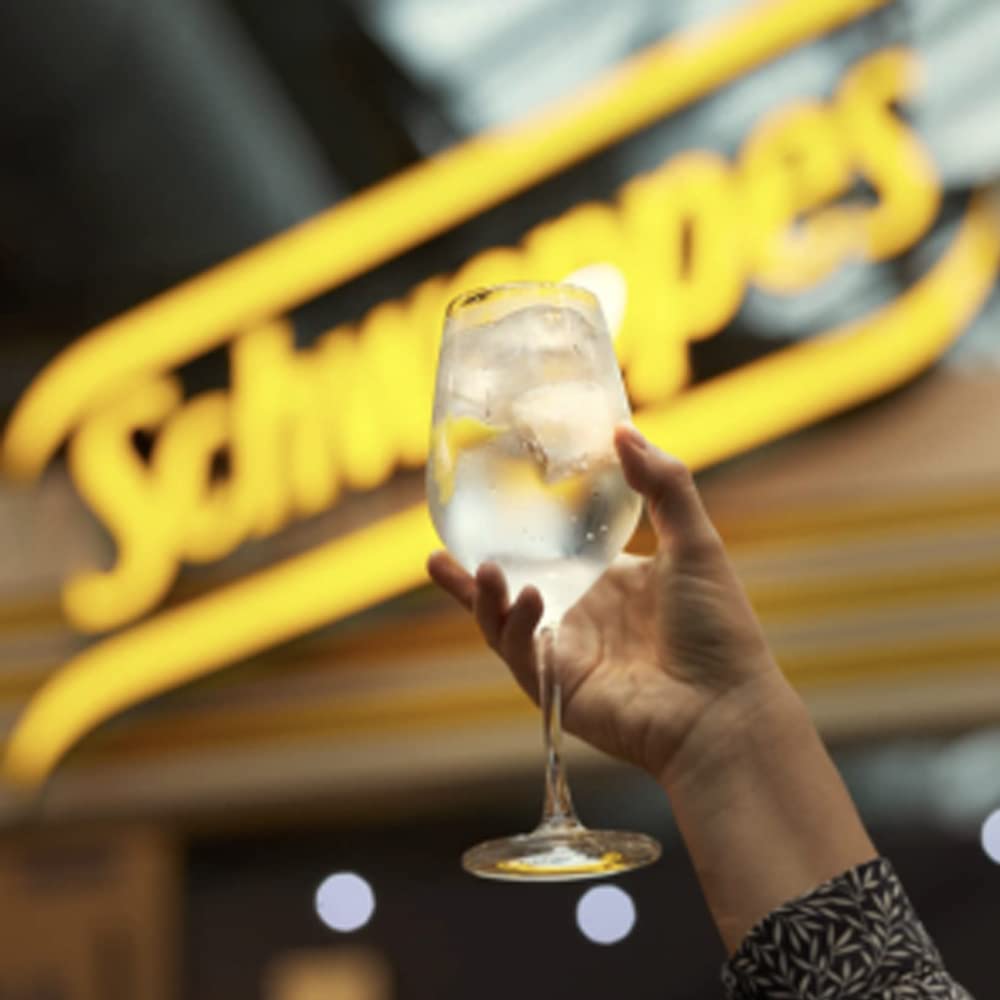 Schweppes Ginger Ale, Bebida Refrescante - Botella PET 1L