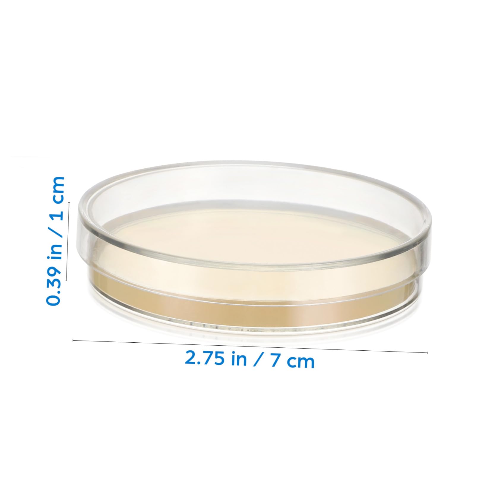 Agarplatten 20 Stück aus Agar für Labor und Kultivierung | 7 Cm Vorgegossen, Geeignet für Wissenschaftliche Experimente, Leicht zu Transportieren