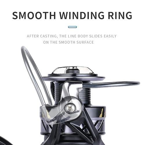 BEARKING BK Molinete de pesca giratório 1000-6000 5+1 BB inoxidável para água salgada ou doce (5000)