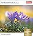 Produktbild Postkartenkalender Farben der Natur - Kalender 2023 - Harenberg-Verlag - Wochenkalender mit 53 heraustrennbaren Postkarten - 16 cm x 17,5 cm, multicolor