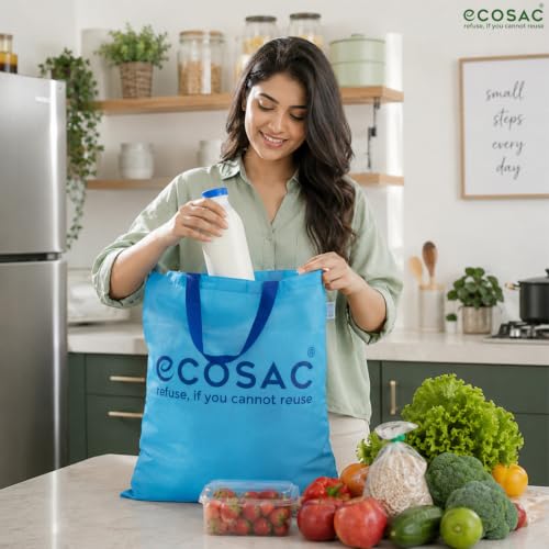 Image of Classic Shopping bag | for Carry Milk Grocery Fruits Vegetable Kitchen Essential |Reusable, Washable, Lightweight & Foldable |15 kg Capacity