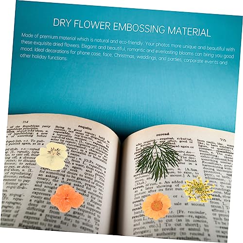 Kit de flores prensadas secas para manualidades color naranja miniatura 5