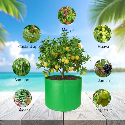 Image of HDPE UV Treated 340 GSM Plant Growing Bags for Terrace Gardening Easy to Use 18 x 18 Inch - Pack of 2