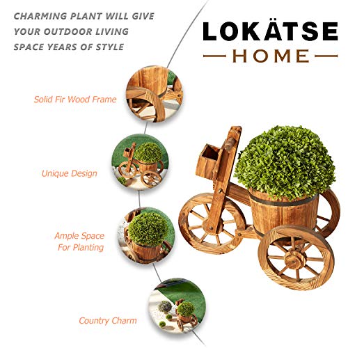 LOKATSE HOME Wooden Barrel Tricycle Planter Wagon Home Garden Outdoor Decor, Brown