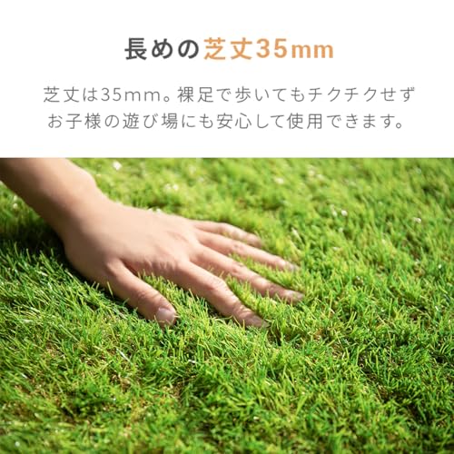 Amazon.co.jp: モダンデコ: ラッシュグリーン