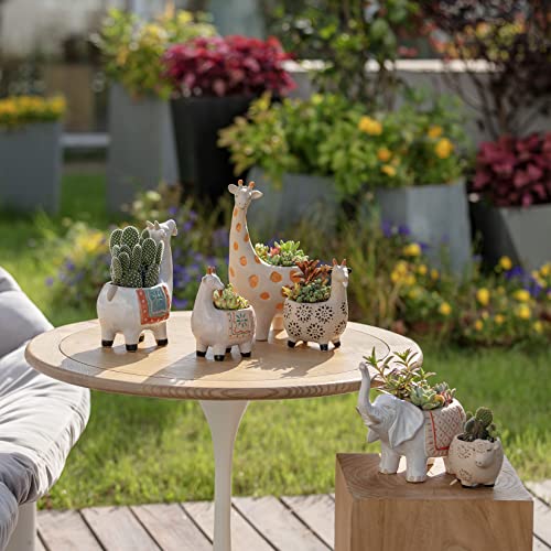 La Jolie Muse Elephant Ceramic Succulent Planter Garden Pots, 8.6 + 5.9 Inch, Cute Animal Glazed Pottery Indoor Flower Plant Pots With Sandy Gravel Detailing Home Decor Gift #TOP4