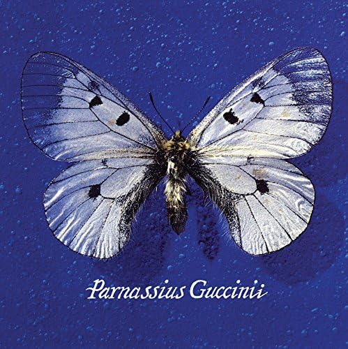 CD o Vinile Parnassius Guccinii