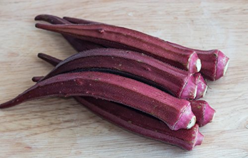Okra'Borgona'; Okro, Ochro, dedos de la senora. - 30 semillas