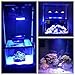 LED Aquarium Lights Bulb 18W Saltwater Fish Tank Light Full Spectrum Aquatic Plants Grow Lamp Refugium Light with UV Blue White Red Green LEDs Reef Lights for Coral Marine Algae Turtle Habitat