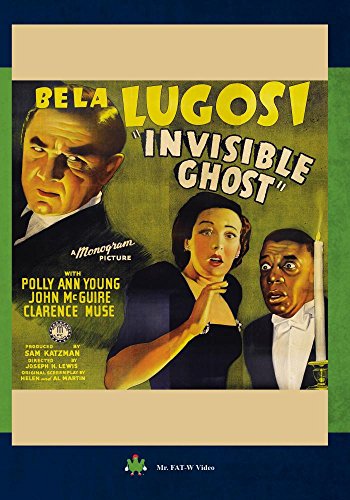 Invisible Ghost B01EZAQQPI Book Cover