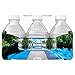 Ice Mountain 100% Natural Spring Water, 8 fl. oz. (12 Pack)