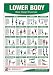 Bodyweight Training Poster/Chart - Lower Body: Body Weight Training - Leg Workout - Body Weight Exercises - Butt Workout - Body Training Exercises - No Equipment Routine - Ab Routine - Thigh Workout