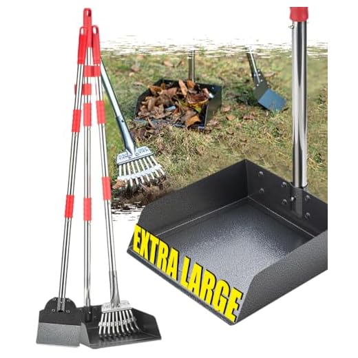 Heavy‑Duty Stainless Steel Rake And Tray Set