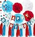 Qian's Party Dr Seuss Cat in The Hat Birthday Party Decorations/Dr Suess Decor Thing 1 and Thing 2 Decorations Turquoise White Red Happy Birthday Banner Airplane Birthday Decorations