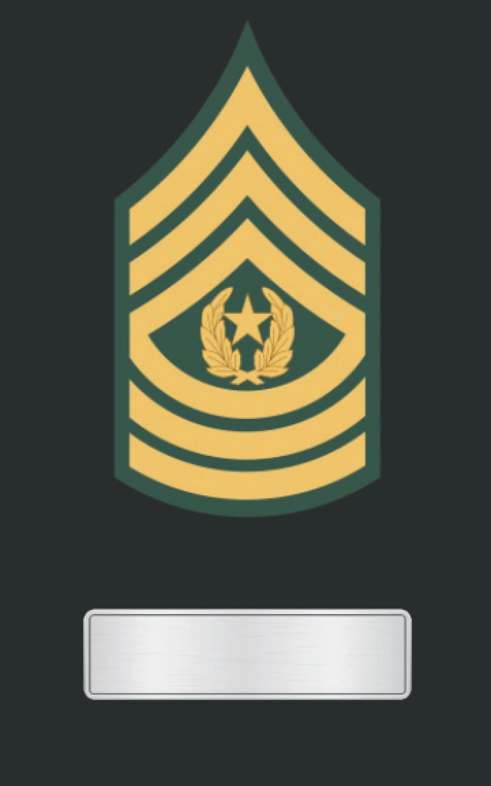 Army Command Sergeant Major Notebook: 5x8 200 Pages