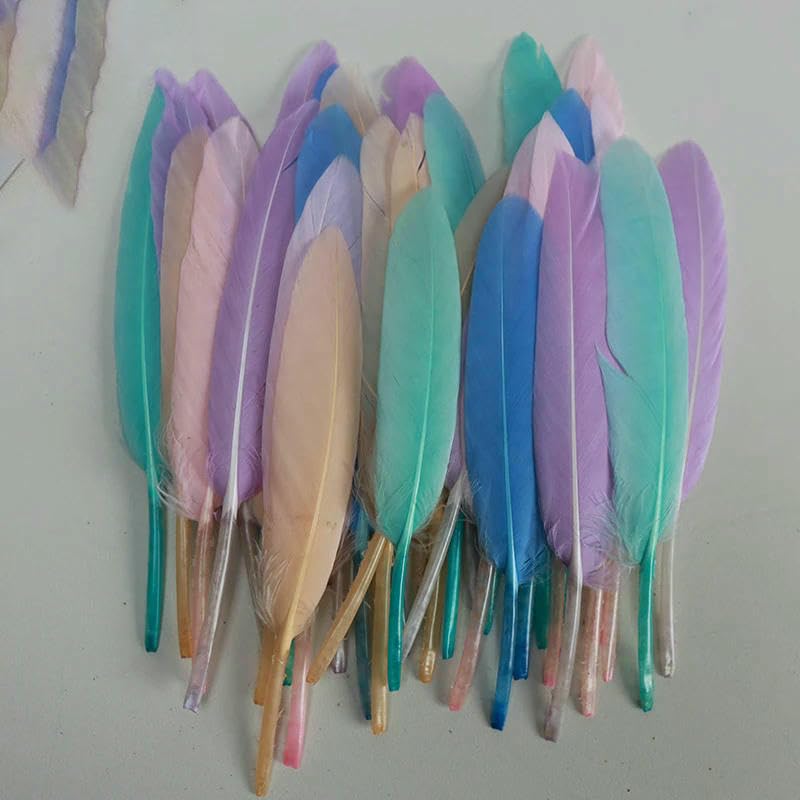 10 Stück/Lot farbige Straußenfedern für Schmuck, DIY-Hochzeiten, Partys, kreative Tischdekorationen, Handarbeit – Wunschfarbe – 30–35 cm (12–14 Zoll)